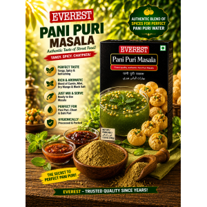 Everest Pani Puri Masala (100 g)