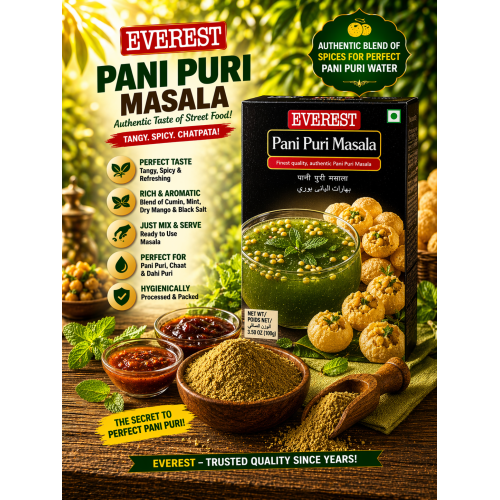 Everest Pani Puri Masala (100 g)